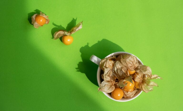 Ashwagandha MyVitamin.ch